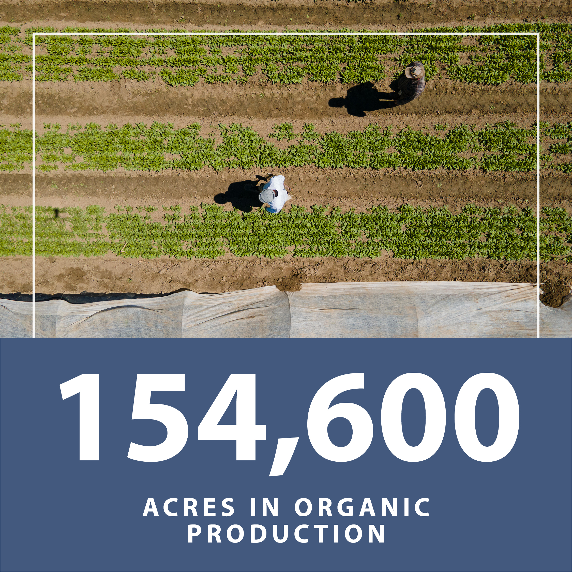 Text reads "154000 acres in organic production"