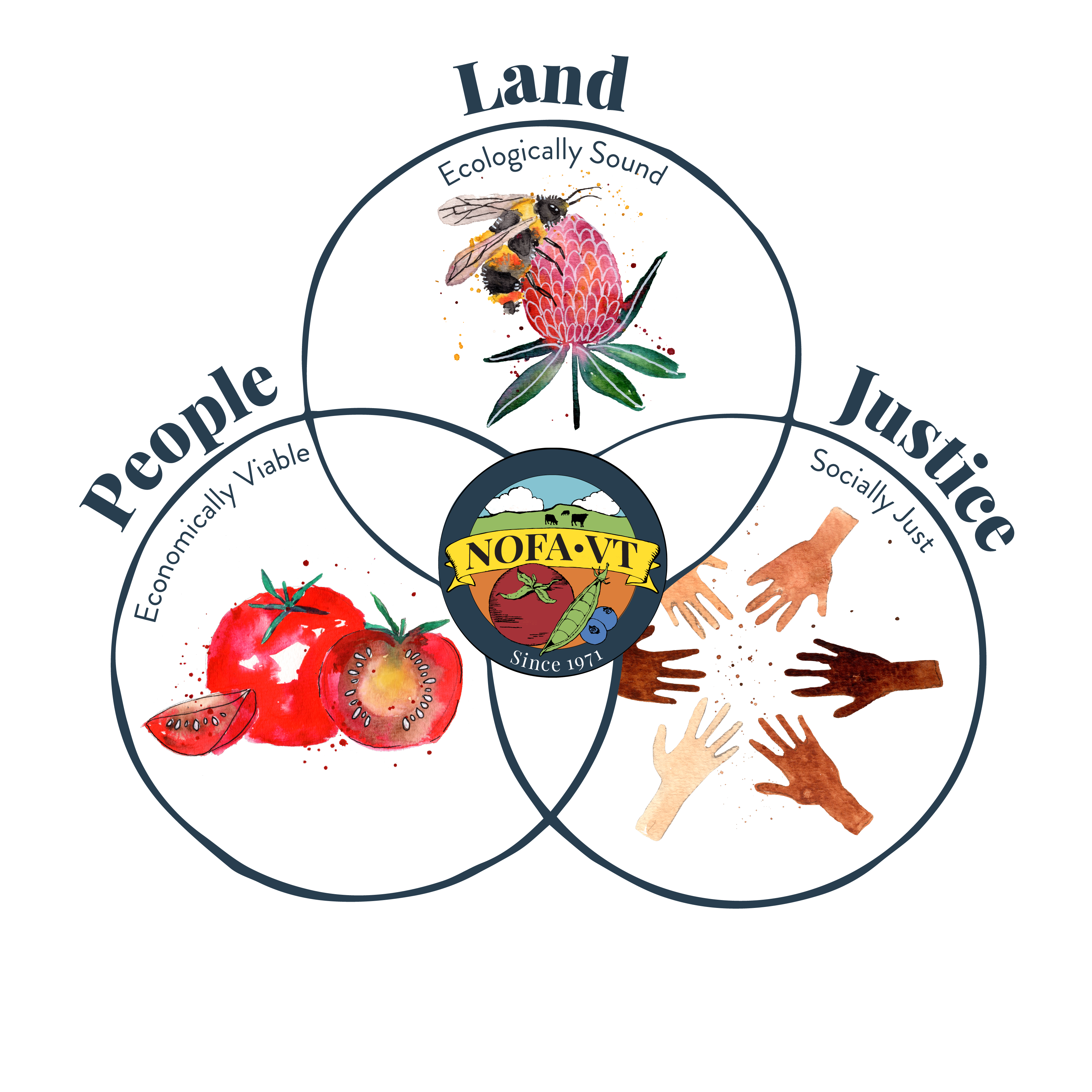 A three-circle Venn diagram is labeled People, Land, and Justice. In the people circle is a painting of a tomato with the text "economically viable". The land circle has a painting of a bee on a clover flower with the text "ecologically sound". The justice circle is a painting of six racially diverse hands all pointed towards each other with the text "socially just".