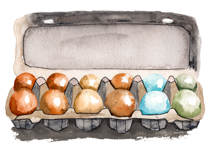 Watercolor of a carton of eggs.