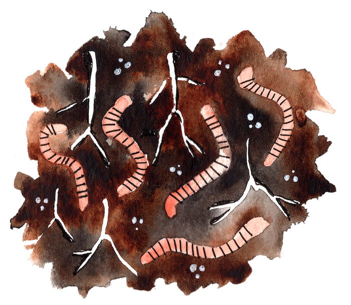 Watercolor painting of dirt with worms and mycorrhizae.