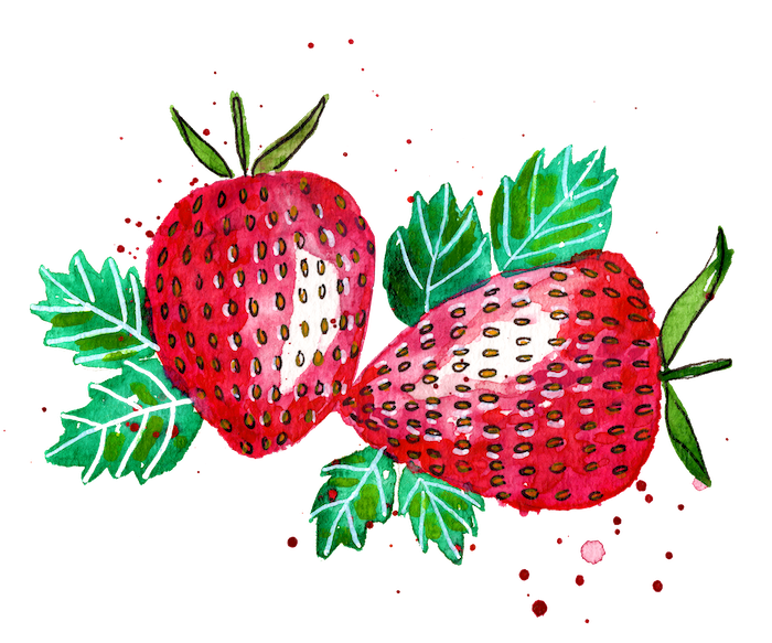 Watercolor of two strawberries.
