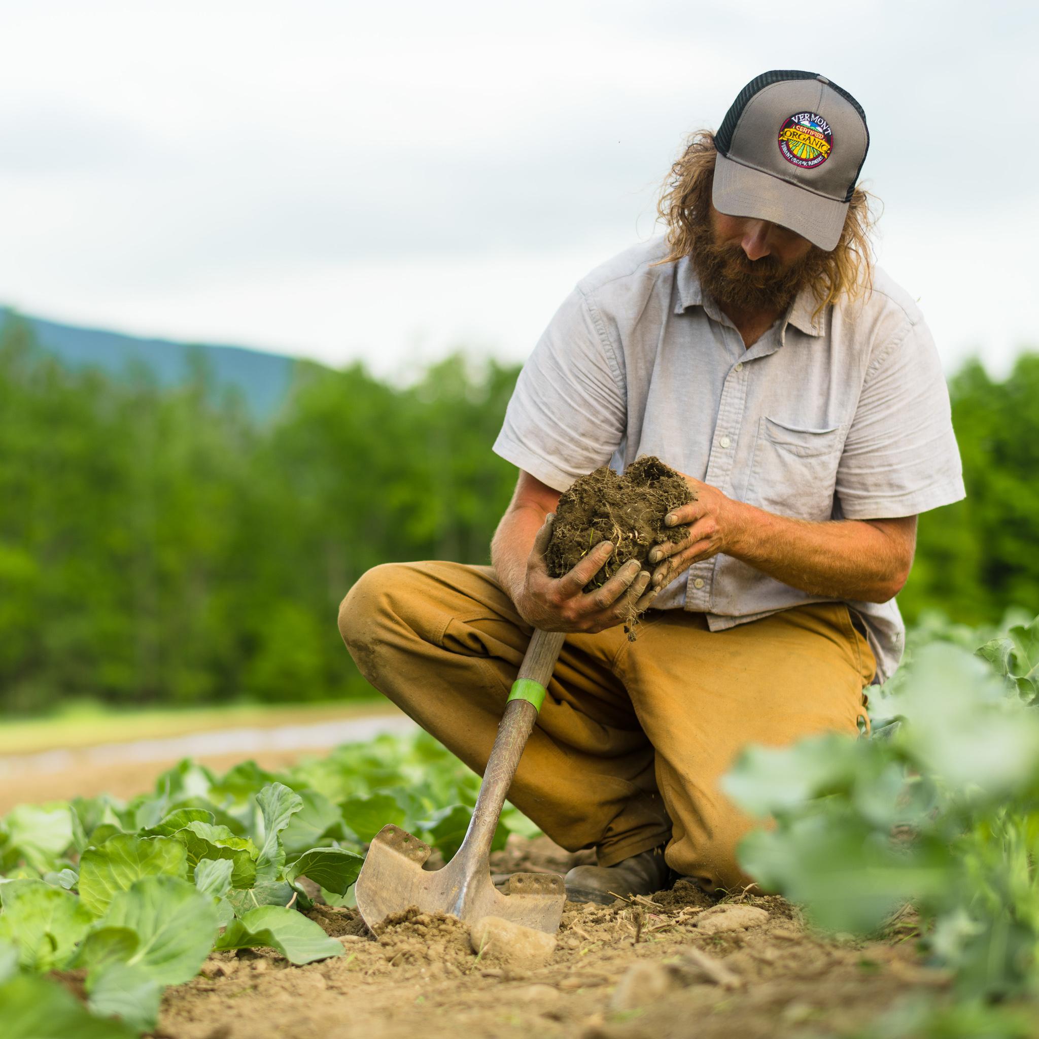 A farmer observes soil out in the field