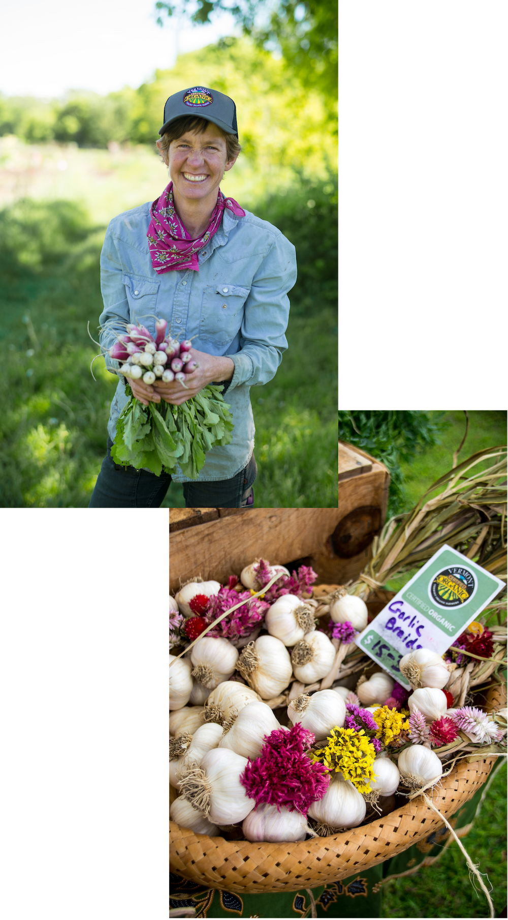 Collage of two photos. First photo is of a farmer smiling and wearing a VOF hat. Second photo is of a basket of garlic with the VOF seal.