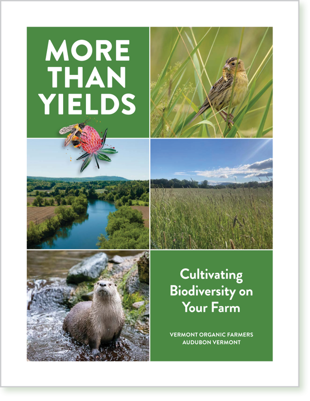 Cover of More Than Yields Booklet