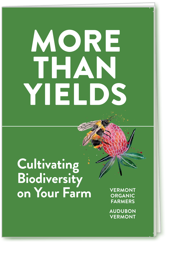 More Than Yields field guide cover